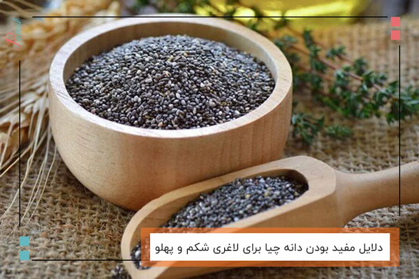 دلایل مفید بودن دانه چیا برای لاغری شکم و پهلو