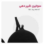 سوتین شیر دهی اسفنجی کد 1422(3)