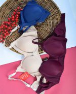 سوتین مینی مایزر ام آی کد168 رنگ آبی(1)